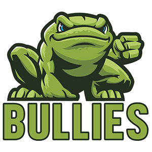 Boise Bullies